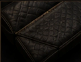 Premium black leather detailing