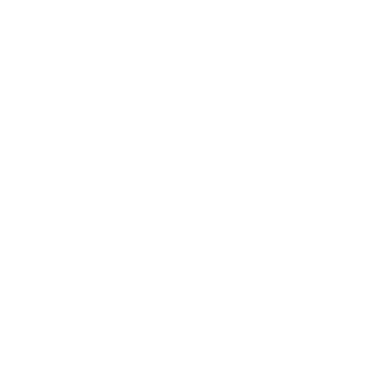 IKON Vault